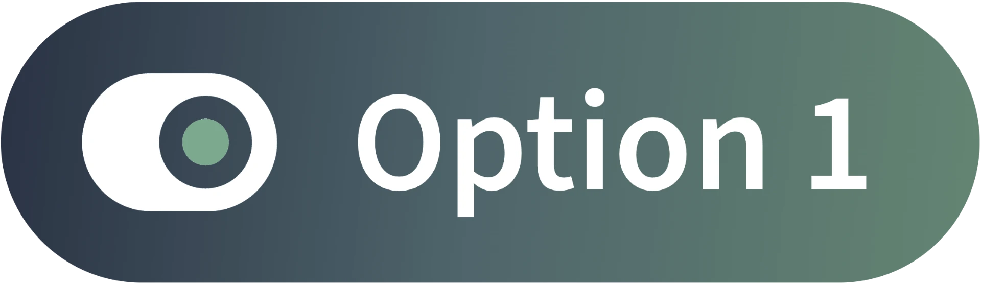 Option 1 logo